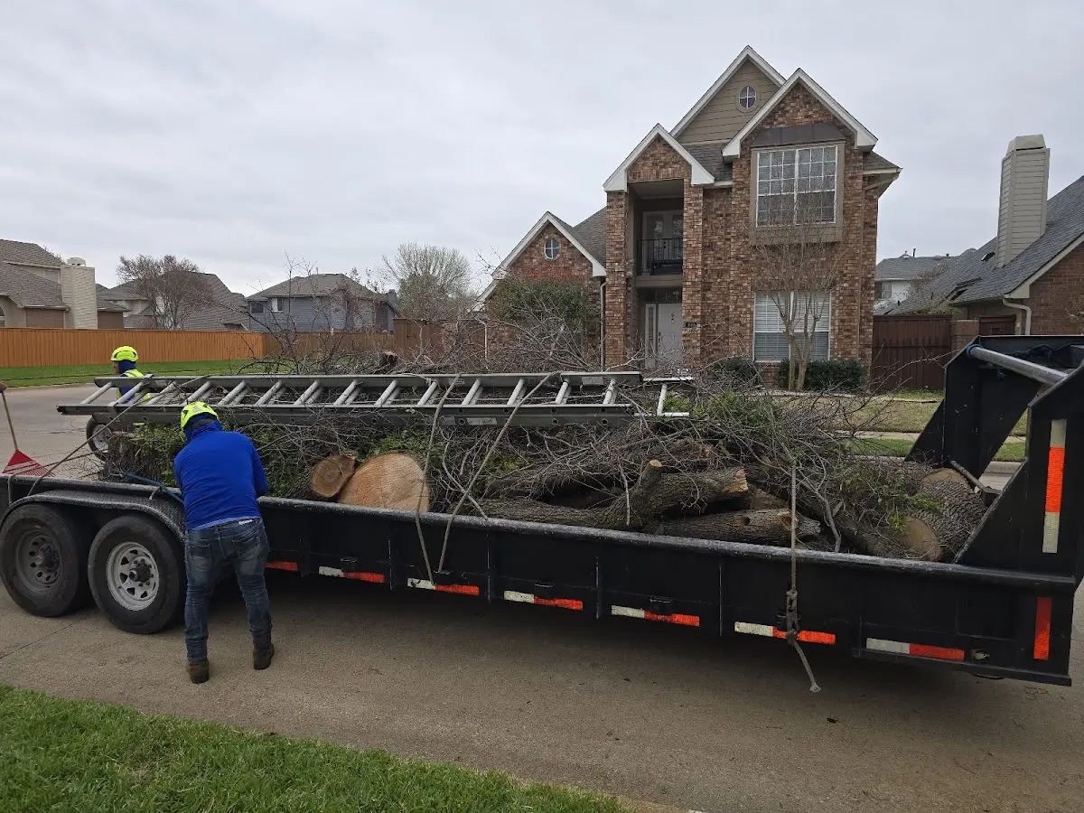 Expert Tree Fertilization with proper safety equipment in Gorham